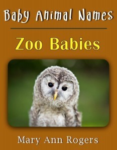 Zoo Babies Cover MAR