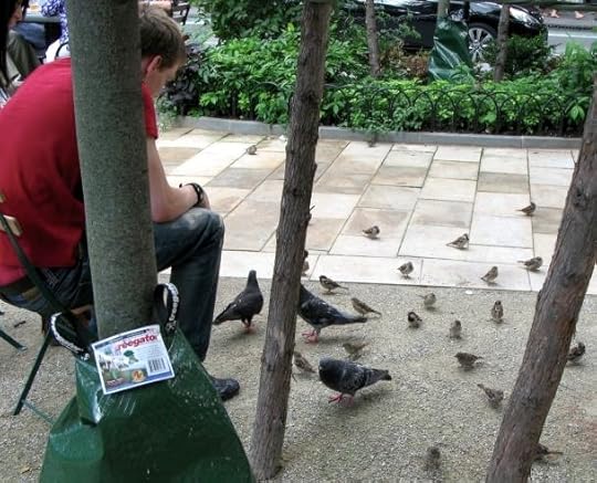Feeding Birds, New York City