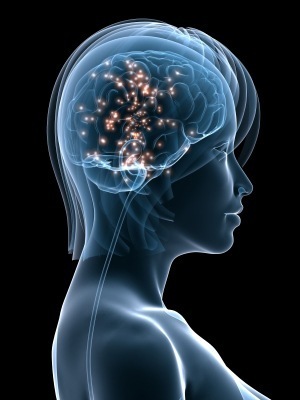 hormone-brain