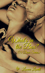 The Ecover of 'Whats in the Box' book 2 of the 13 Doors series
