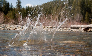 image courtesy of photobucket.com