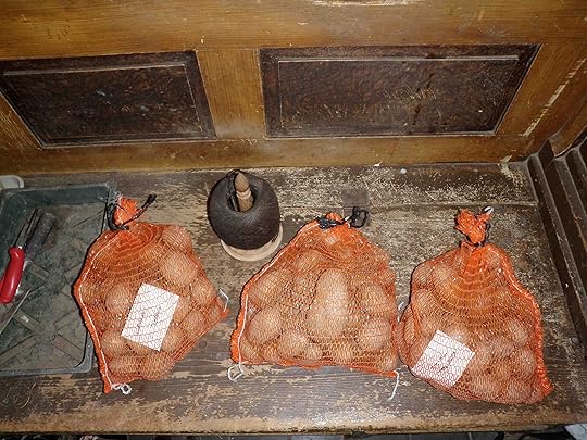 Bags of seed potatoes