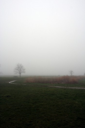 New Horizons