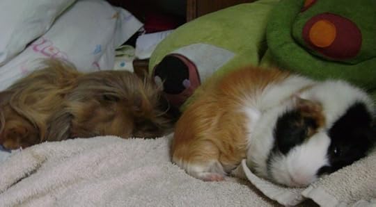 Danger and Morty were best friends.