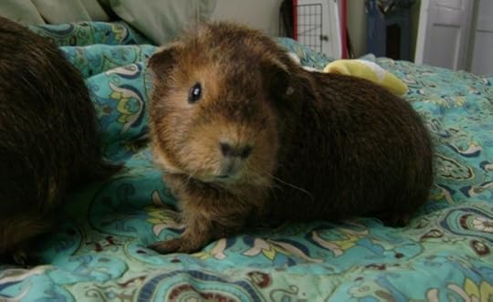 So beautiful. So in your face.