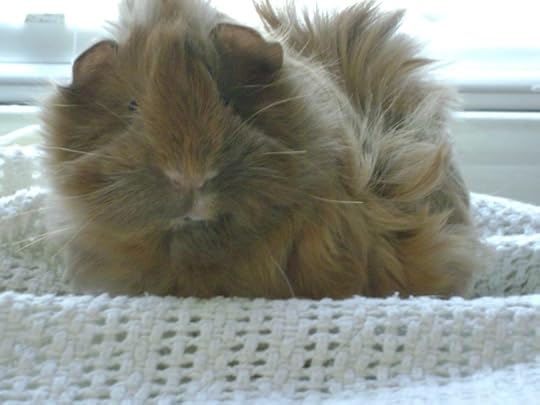 Who knew he would basically turn into Rapunzel without the tower? Tangled, indeed.