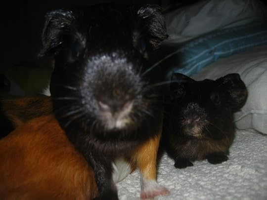 Do you folks like coffee?