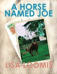 A Horse Named Joe by Lisa Loomis