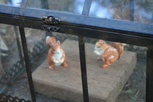 IMG_0811