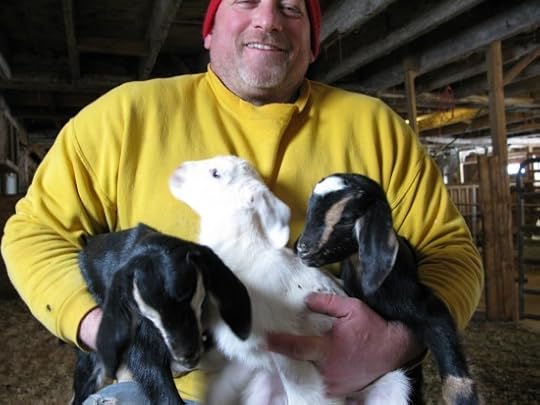 Beekman Baby Goats