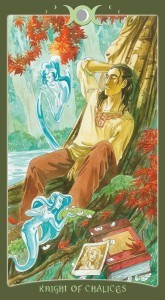 Deck Book of Shadows II NOREG 34