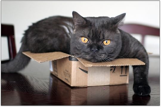 Kind of like this. Except with books, not a cat.