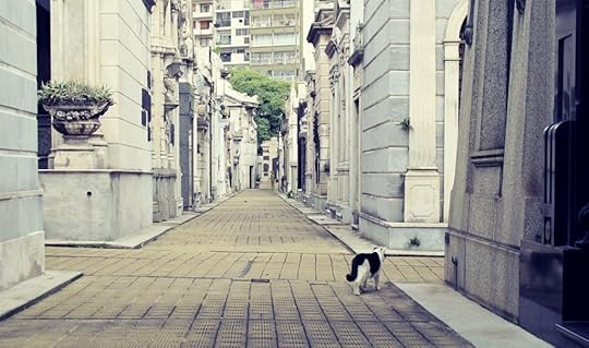 Cat in Recoleta cemetery