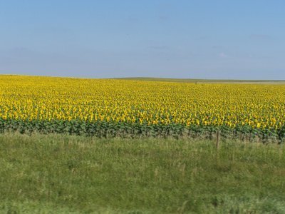 Post image for Create. Is That All There Is To It?