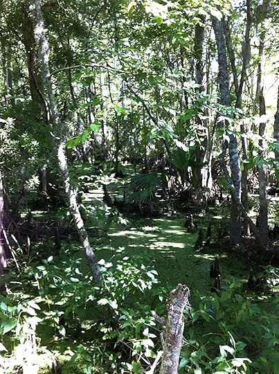 Jean Lafitte Historic Park