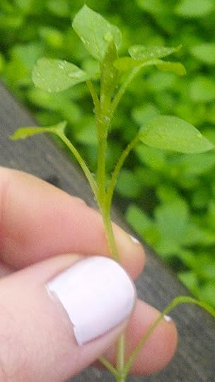 2012-12-26_15-17-30_361