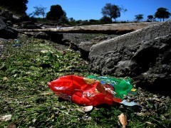 2013-05-18-Damon-Slough-01