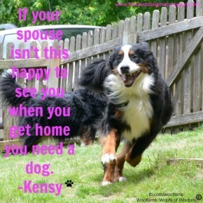 spouse DSC2609 290x290 Woofisms: Woofs of Wisdom© funny dog blog