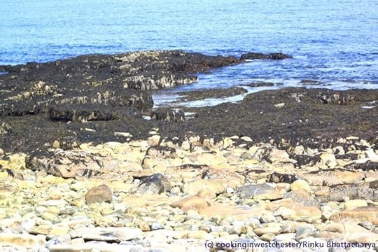 Acadia National Park