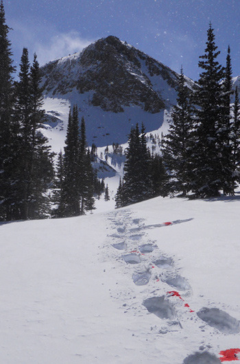 LOST CREEK back cover image