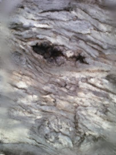 bark eye arty