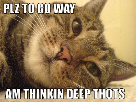 As it turns out, this blog was illegal until I incorporated a lolspeak cat. I did not know that you needed one to legally operate a blog.