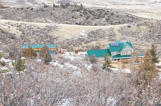 Sunflower-ridge-ranch-llamas