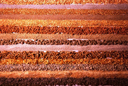 2-cat litter comparison-1-30-08