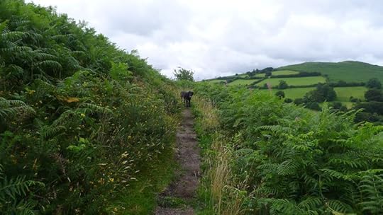 Nattadon Hill 3