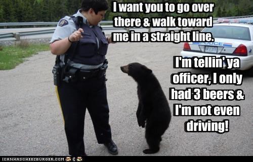 beer bear