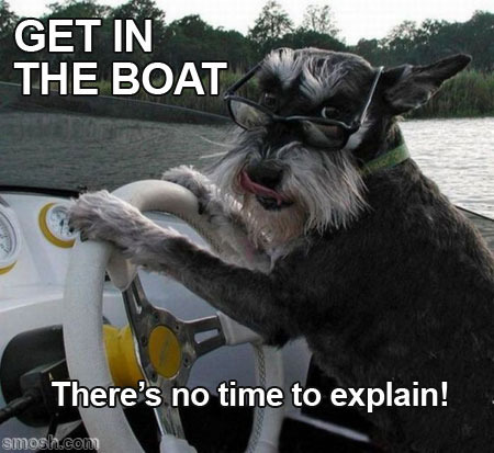  photo steal-58-dog-boat.jpg