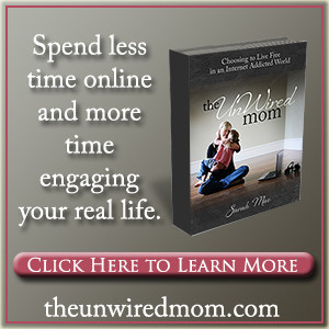 The Unwired Mom--Beat Internet Addiction