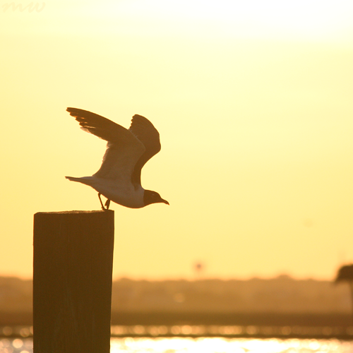 Takeoff