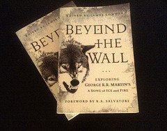 Beyond The Wall on a Black Background