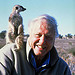 David Attenborough in "The Life of Mammals"