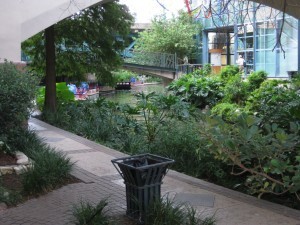 IMG_1758