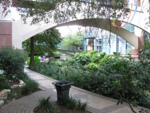 IMG_1757