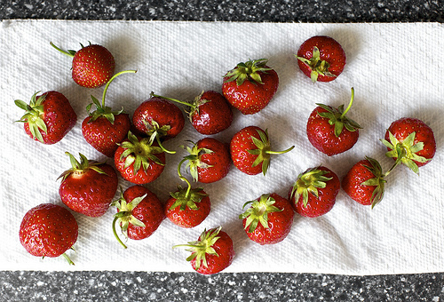 drying the strawberries