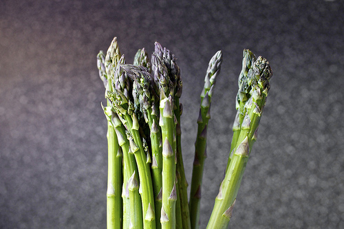 asparagus headshot!