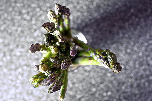 asparagus, from the sky, er, stepladder