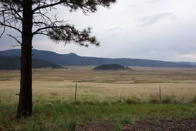 DSC01697