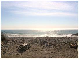 Click to visit the original post