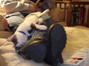 Adjusting to new home