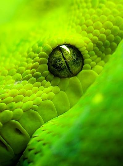 snake 2