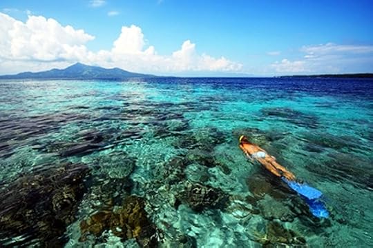  photo a79ee7d6-d59e-4dbf-a055-2394e911f3e6_zps3967b87c.jpg