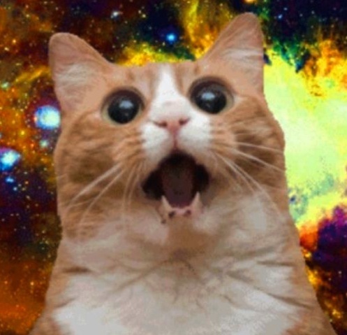 catcatsmall