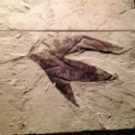 sandstone-3