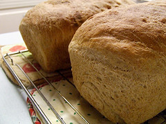 Whole Wheat Bread