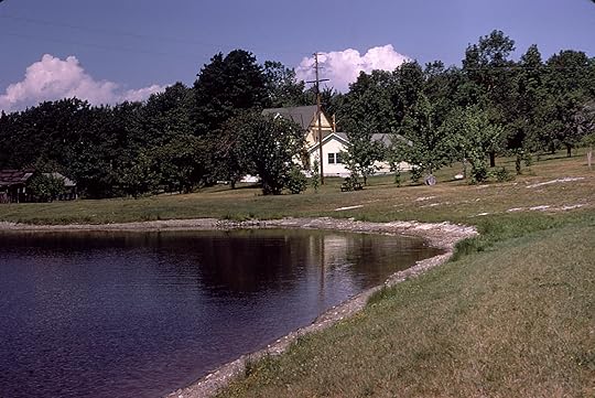 The pond, circa 1970