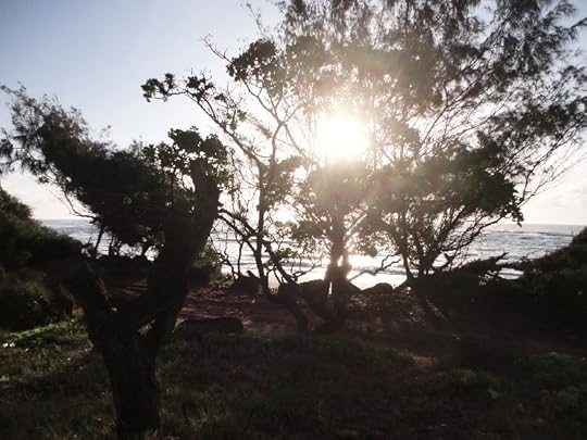 Sunrise at Lydgate Park courtesy of Terry Ambrose